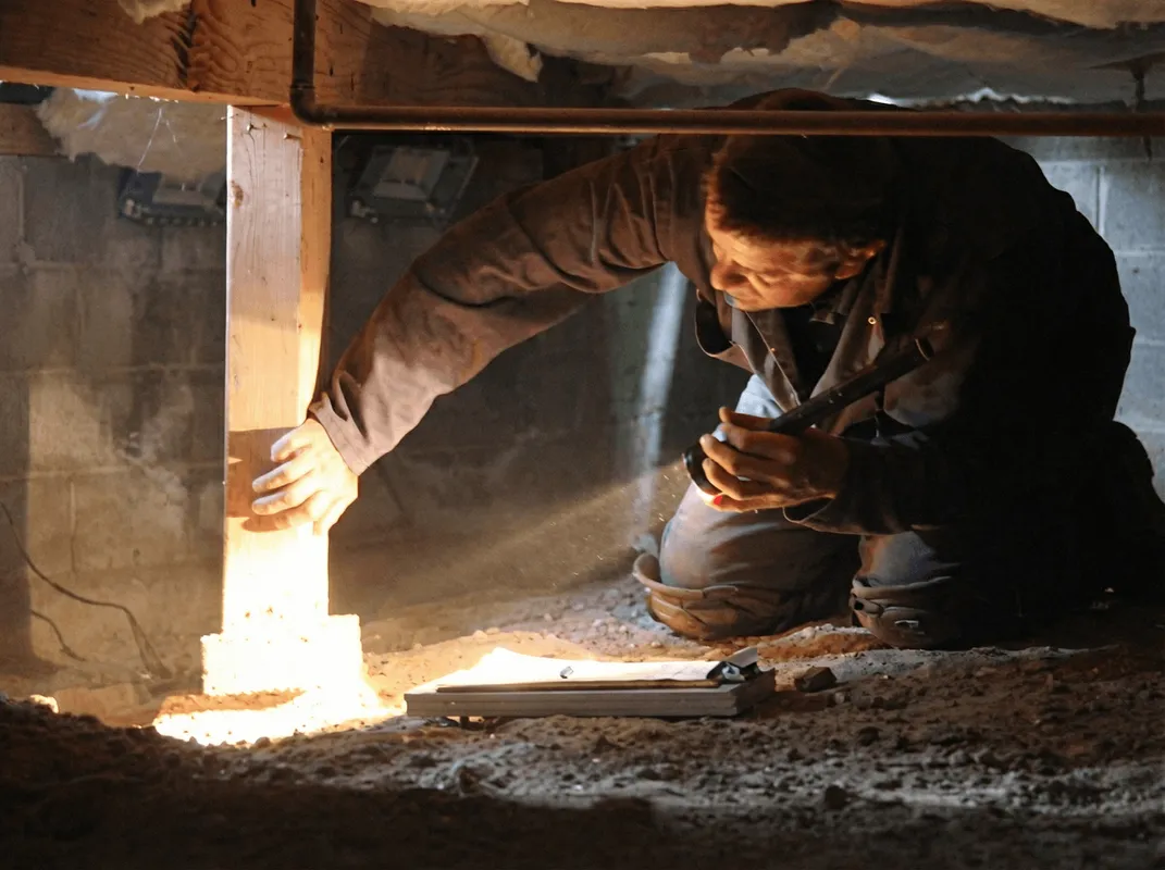A professional inspecting wooden beams under the floor of a structure in Chattanooga, TN